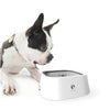 Floating Pet Water Bowl with Anti Spill Design and Slow Drinking Function for Dogs and Cats