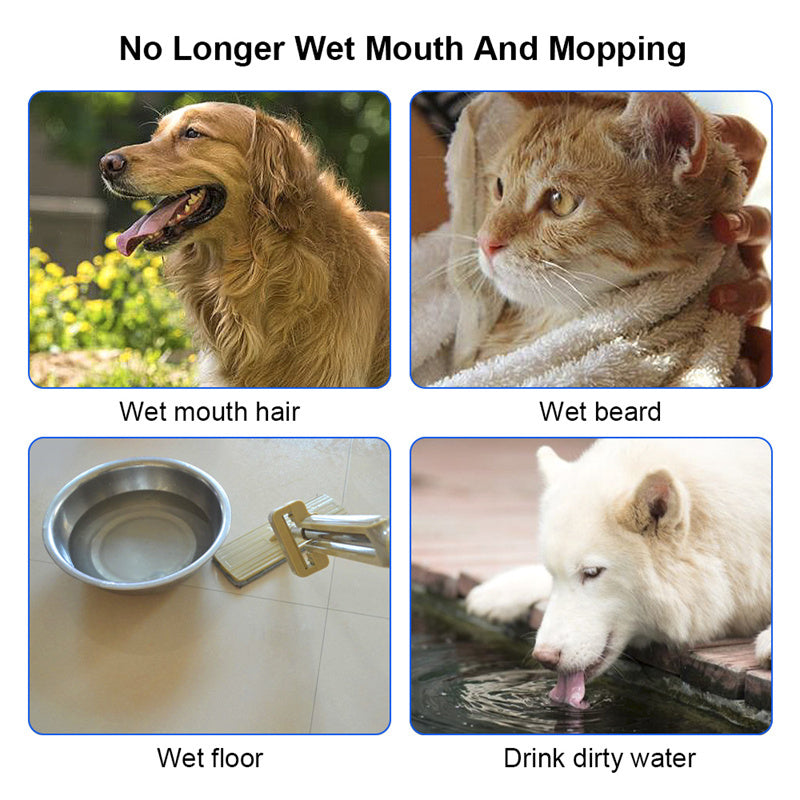 Floating Pet Water Bowl with Anti Spill Design and Slow Drinking Function for Dogs and Cats