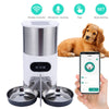 Smart App Pet Feeder with Stainless Steel Bowl and Voice Recording for Cats and Dogs