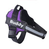 Personalized No Pull Dog Harness with Reflective Adjustable Vest and Custom Patch for All Dog Sizes