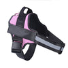 Personalized No Pull Dog Harness with Reflective Adjustable Vest and Custom Patch for All Dog Sizes