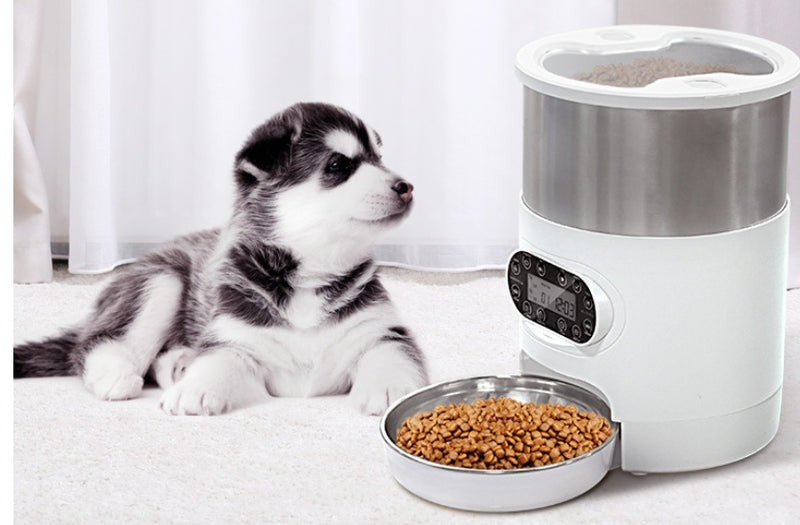 Smart App Pet Feeder with Stainless Steel Bowl and Voice Recording for Cats and Dogs