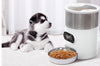 Smart App Pet Feeder with Stainless Steel Bowl and Voice Recording for Cats and Dogs