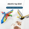 Flying Eagle Cat Toy Interactive Hanging Bird Teaser