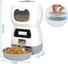 Smart App Pet Feeder with Stainless Steel Bowl and Voice Recording for Cats and Dogs