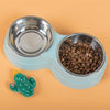 Double Pet Bowls for Dogs and Cats with Stainless Steel Food and Water Dishes