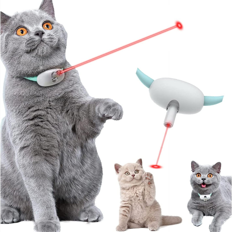 Automatic Pet Feeder with Timer and Stainless Steel Bowl for Dogs and Cats