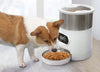 Smart App Pet Feeder with Stainless Steel Bowl and Voice Recording for Cats and Dogs