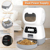 Smart App Pet Feeder with Stainless Steel Bowl and Voice Recording for Cats and Dogs