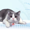 Automatic Pet Feeder with Timer and Stainless Steel Bowl for Dogs and Cats