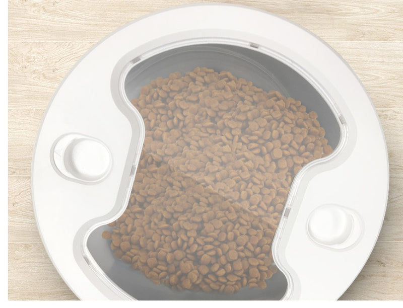 Smart App Pet Feeder with Stainless Steel Bowl and Voice Recording for Cats and Dogs